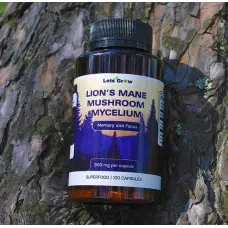 Міцелий Їжовика гребінчастого — мікродозинг для фокусу та пам'яті, 120 капсул