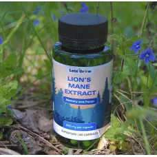 Екстракт Їжовика гребінчастого — мікродозинг для фокусу та пам'яті, 60 капсул