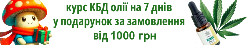 банер