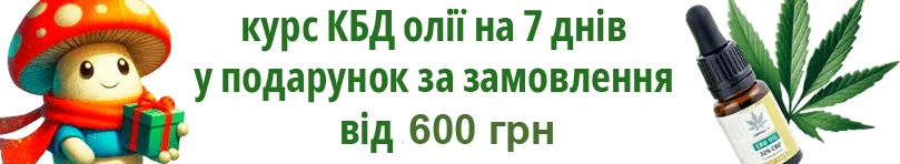 банер