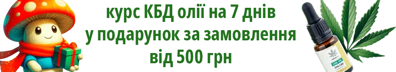 описание изображения