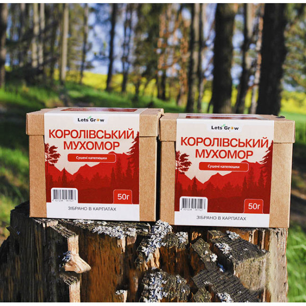 Мухомор королевский – сушеные шляпки (100г) для микродозинга