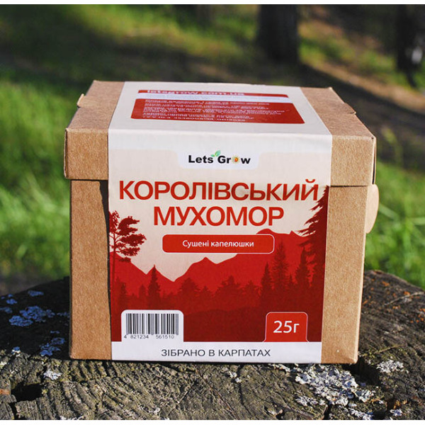 Мухомор королевский – сушеные шляпки (25г) для микродозинга