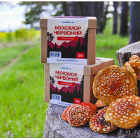 Мухомор красный - сушеные шляпки (100г) для микродозинга