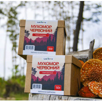 Мухомор красный - сушеные шляпки (50г) для микродозинга