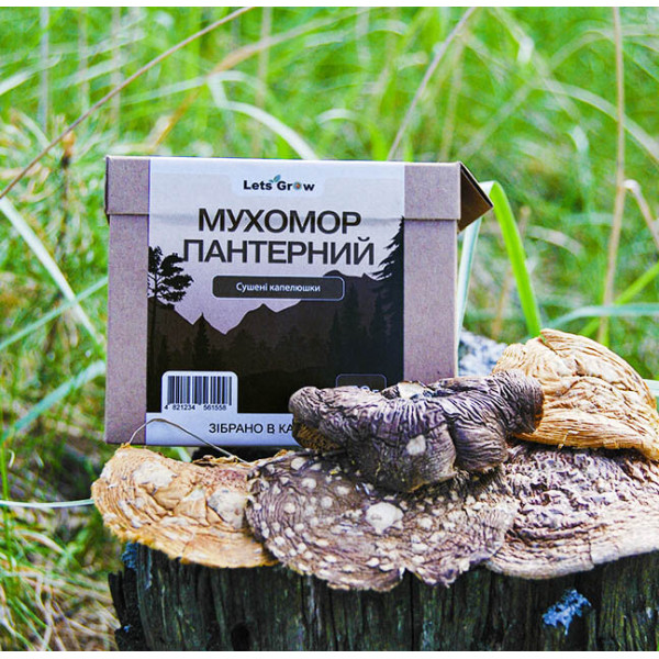 Мухомор пантерный – сушеные шляпки (10г) для микродозинга в Дойпаке