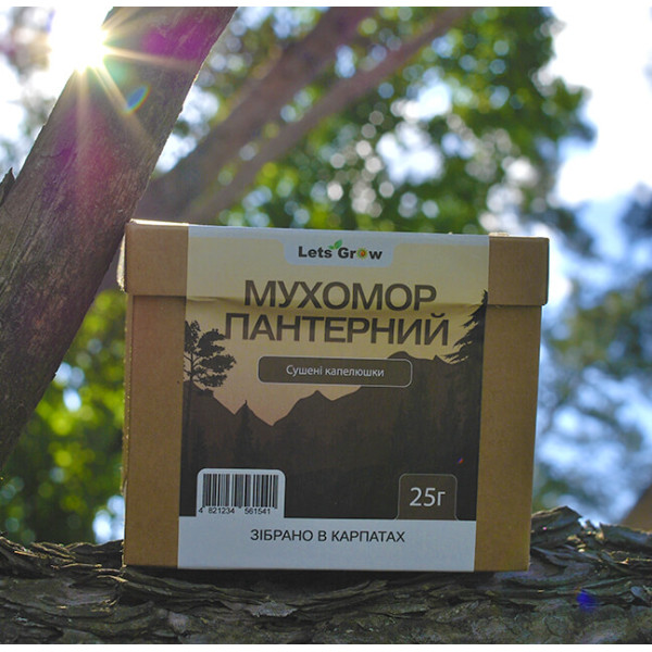 Мухомор пантерный – сушеные шляпки (25г) для микродозинга