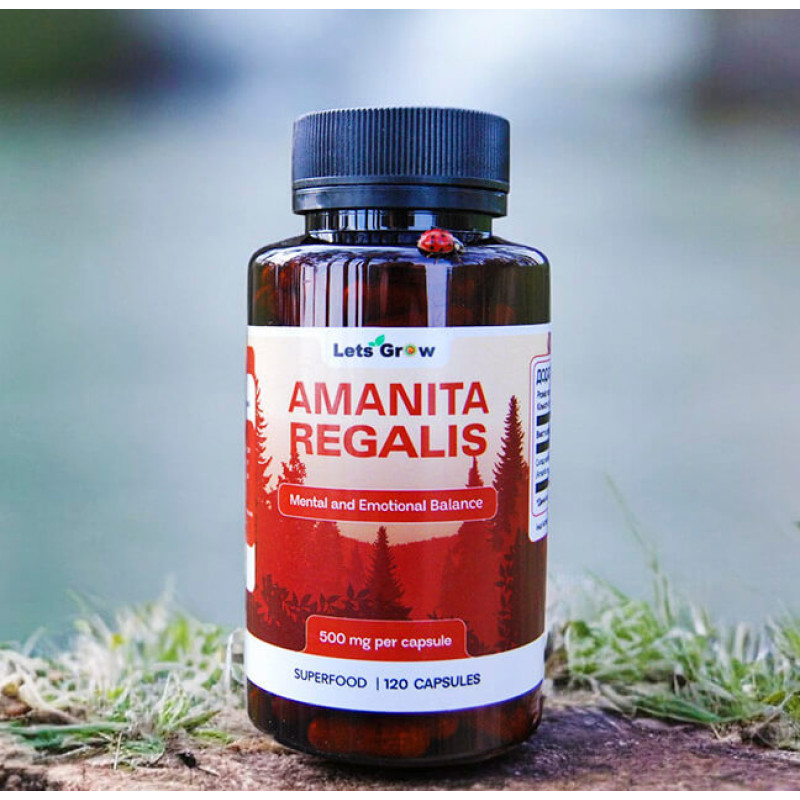 Мікродозинг Королівського Мухомора (120 капсул) – курс на 2 місяці