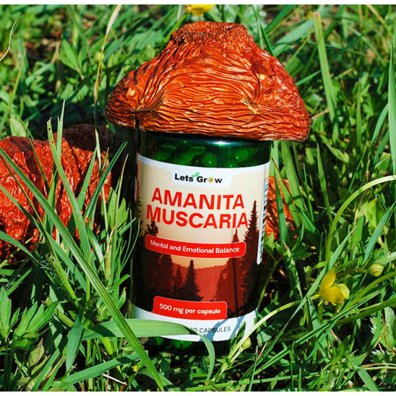 Мікродозинг Червоного Мухомору (60 капсул) – курс на 1 місяць