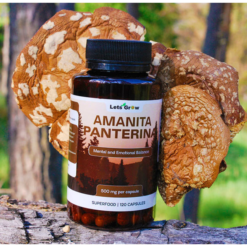 Мікродозинг Пантерного Мухомора (120 капсул по 0.5 г) – курс на 2 місяці