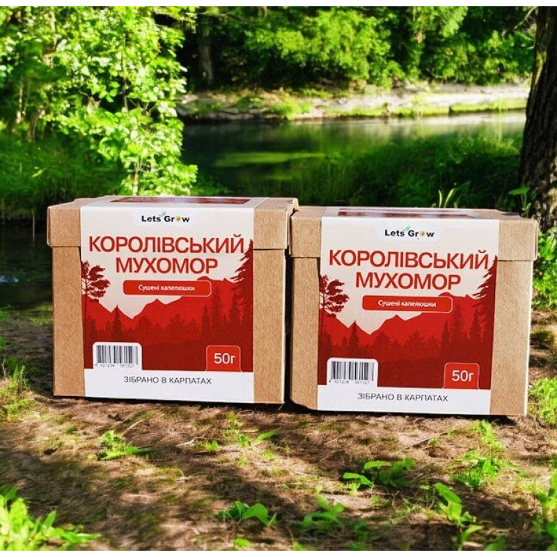 Сушений Королівський Мухомор відбірні капелюшки – 100 г