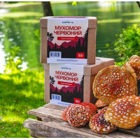 Сушений Червоний Мухомор відбірні капелюшки - 100 г