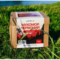 Сушений Червоний Мухомор відбірні капелюшки - 50 г