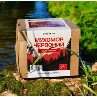 Сушений Червоний Мухомор відбірні капелюшки - 25 г