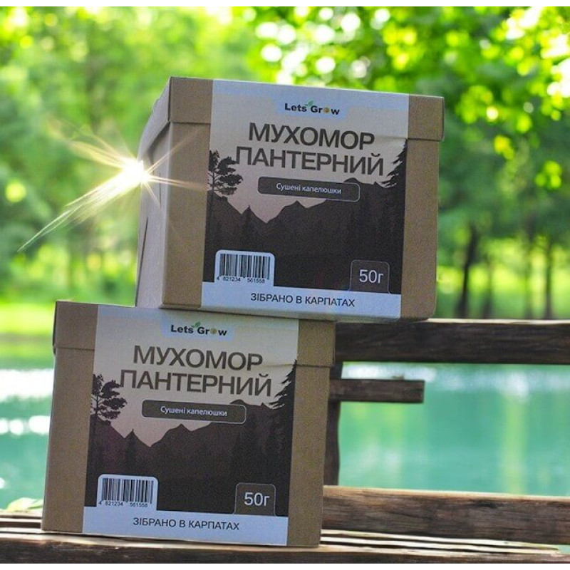 Сушений Пантерний Мухомор відбірні капелюшки - 100 г