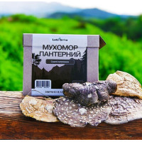Сушений Пантерний Мухомор відбірні капелюшки – 10 г (упаковка Дойпак)