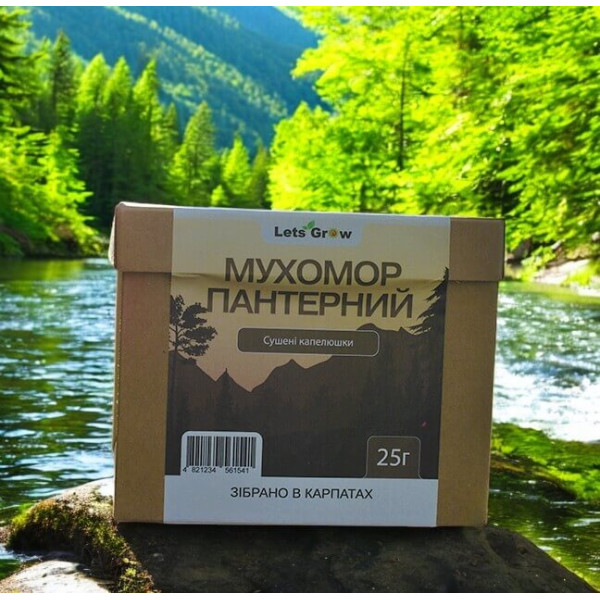 Сушеный Пантерний Мухомор отборные шляпки – 25 г