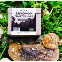 Сушений Пантерний Мухомор відбірні капелюшки – 50 г