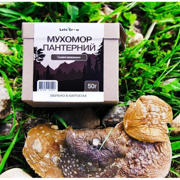 Сушеный Пантерний Мухомор отборные шляпки – 50 г