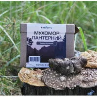 Пантерний мyxoмop сушені шляпки, 100г