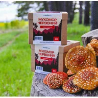 Мухомор червоний сушені капелюшки, 100г