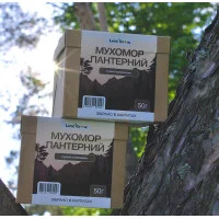 Пантерний мyxoмop сушені шляпки, 100г