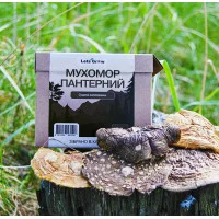 Пантерний мyxoмop сушені шляпки, 10г