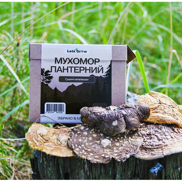 Мухомор пантерный – сушеные шляпки (10г) для микродозинга в Дойпаке