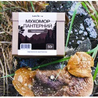 Пантерний мyxoмop сушені шляпки, 50г