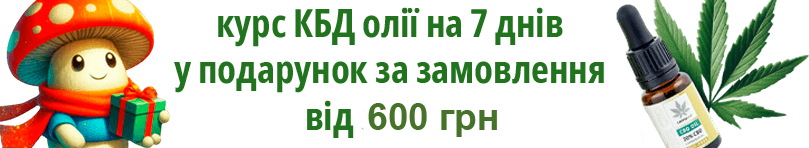 банер