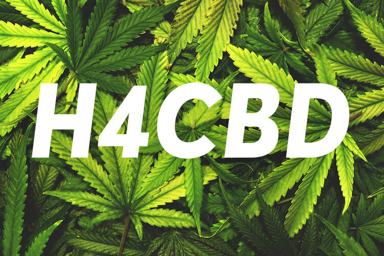 h4cbd купити