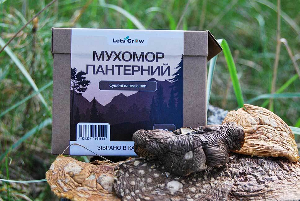 Сушеный пантерный мухомор в упаковке производителя Летс Гров